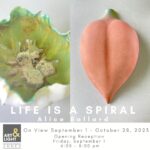 LIFE IS A SPIRAL Alice Ballard ART& LIGHT ANNEX On View September 1 - October 28, 2023 Opening Reception Friday, September 1 6:00 - 8:00 pm