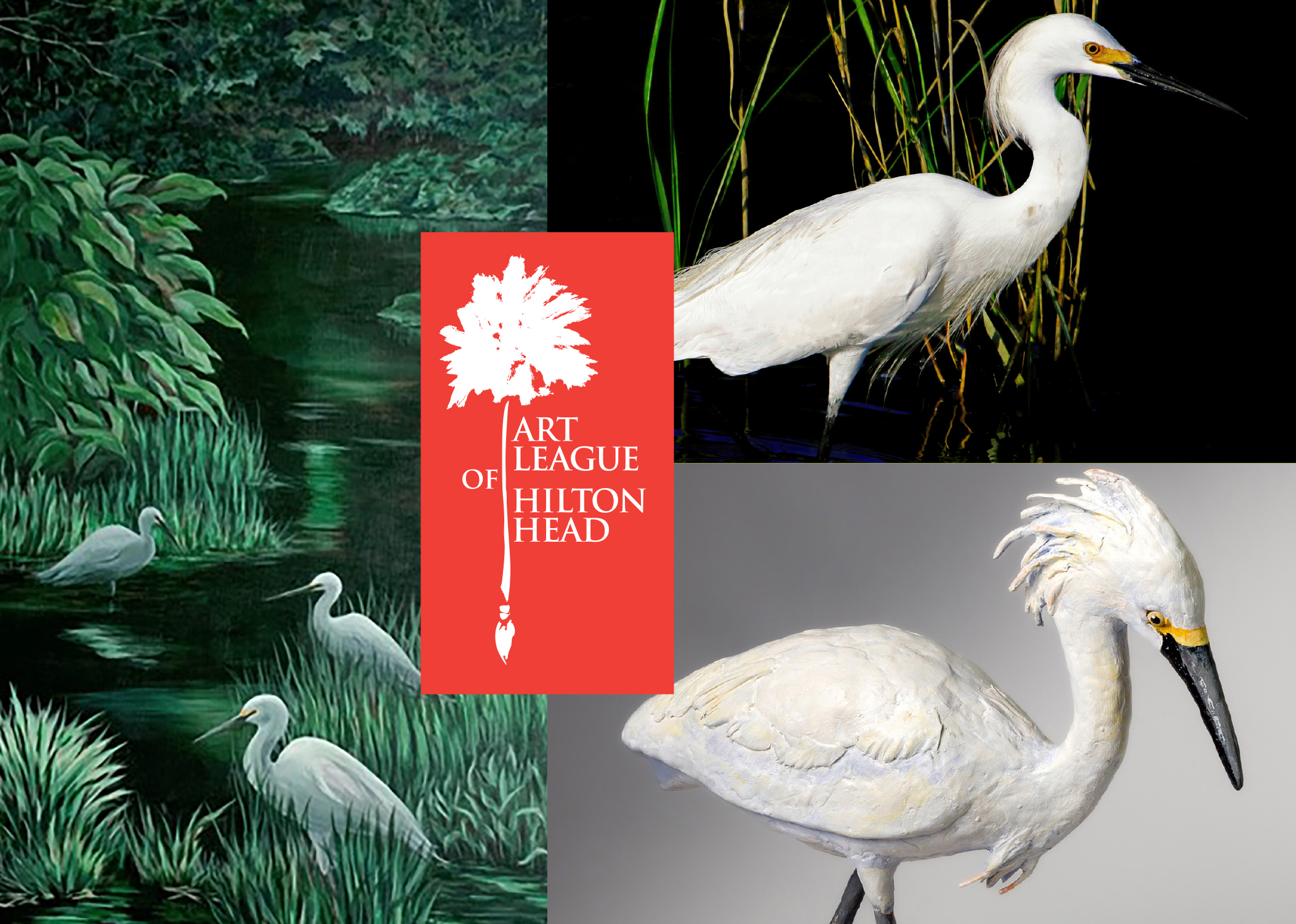 painted images of pelicans in marsh environments