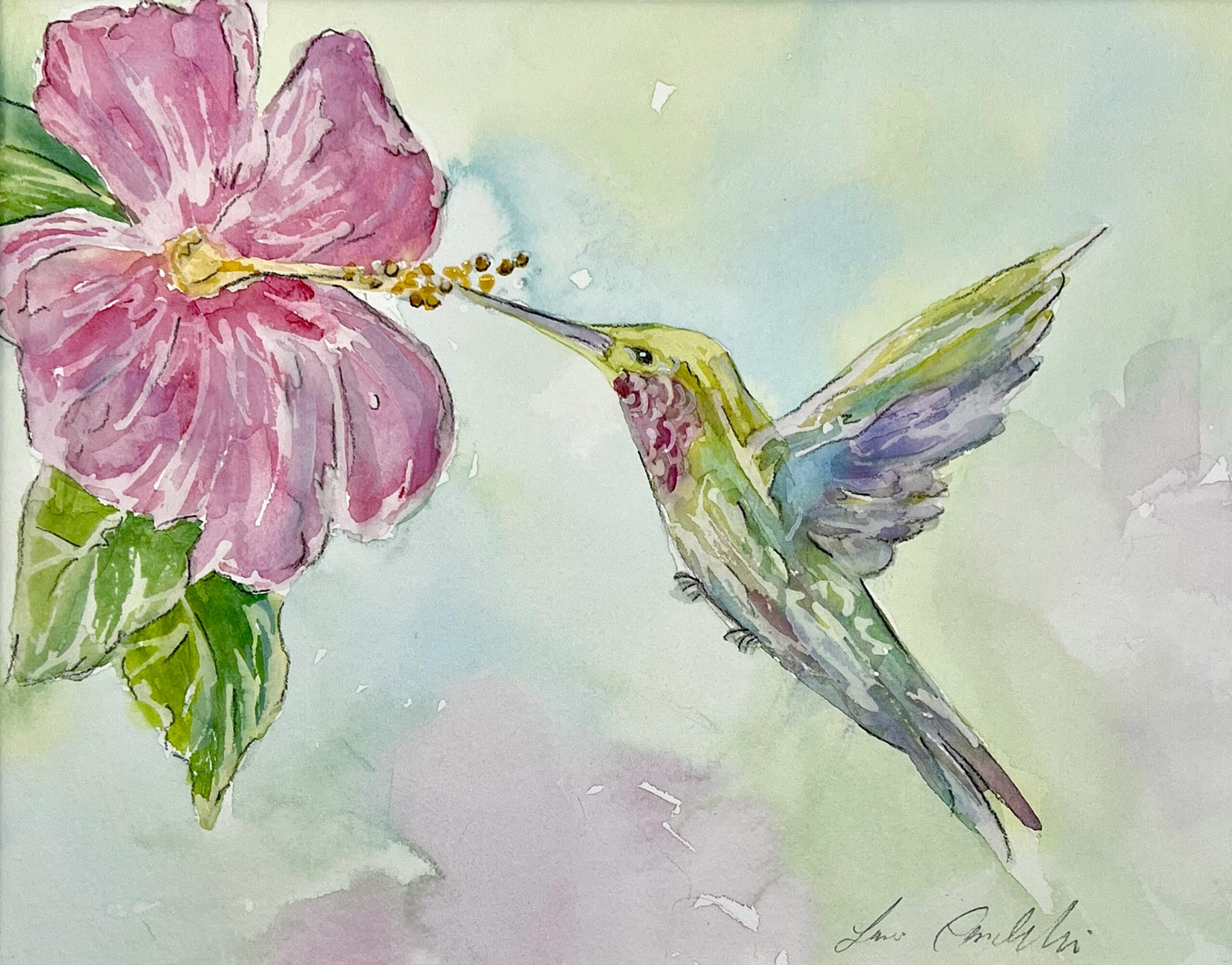 Watercolor painting of a hummingbird drinking from a hibiscus flower.