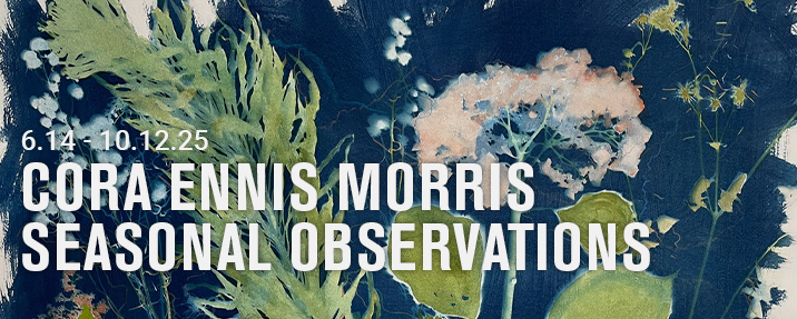 Cyanotype print of botanicals in shades of blue, green, and white.