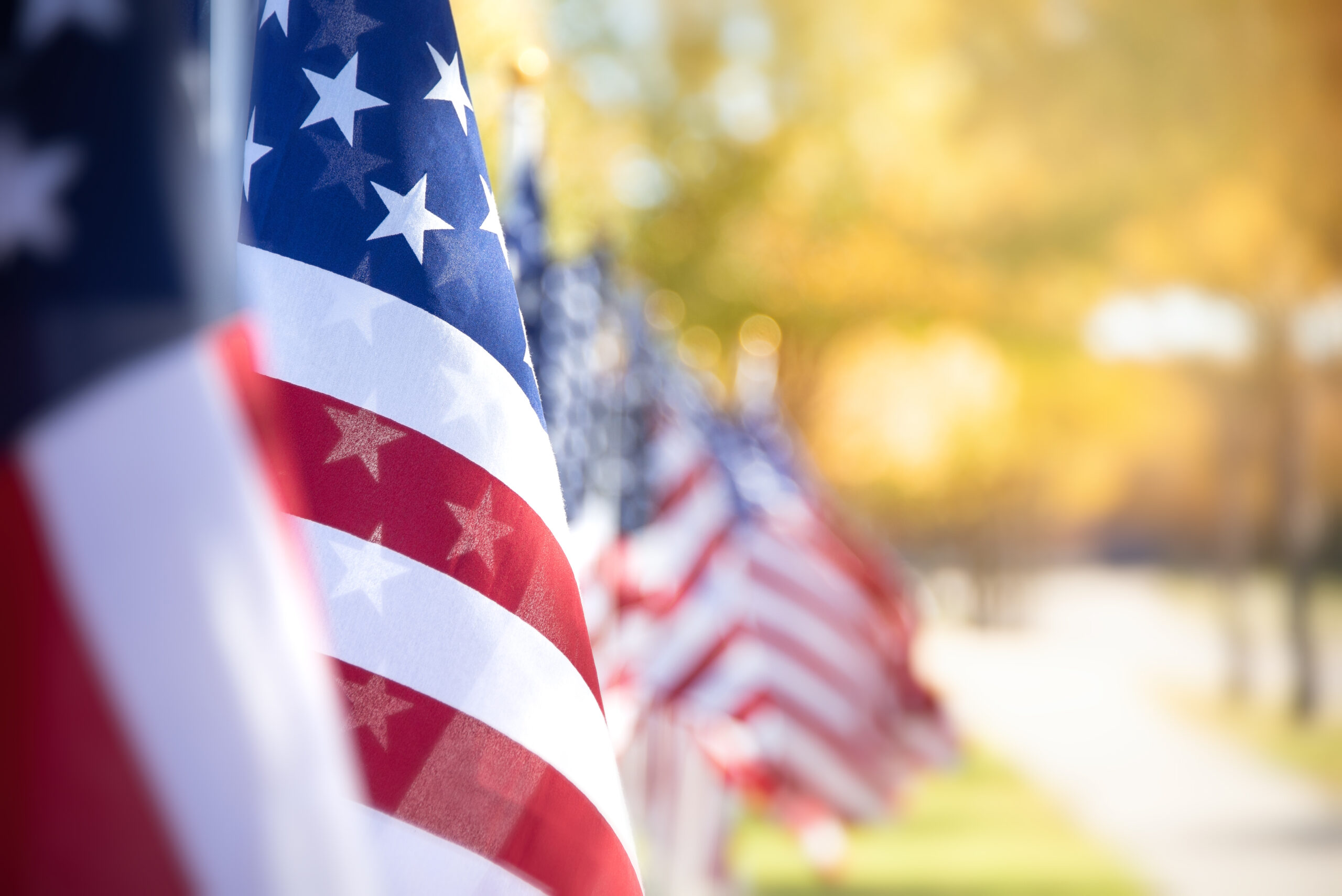 Closeup of American flags in a row