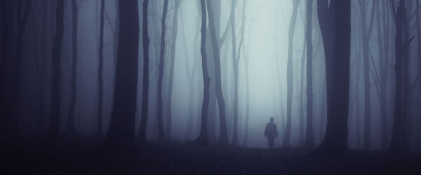A lone figure walks through a spooky forest of fog and silhouetted trees.