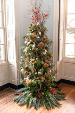 An evergreen tree is decorated with natural elements for the Christmas season in a historic home.