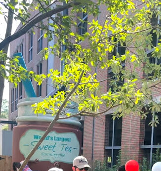 A 15-foot replica Mason jar that set the world record for largest sweet tea.