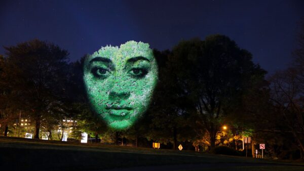 Large green face superimposed on nighttime suburban photo.