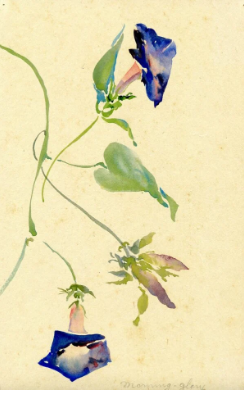 Watercolor painting of a 3 bluish purple flowers with green vines and leaves.
