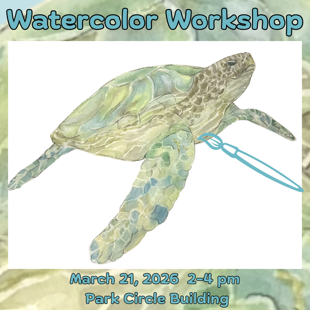 Watercolor painting of a sea turtle, in shades of green, blue, and brown.