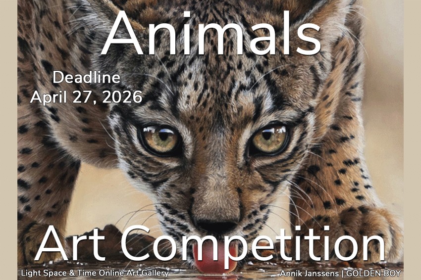 Close up of a leopard lapping water from the ground while staring at the viewer.