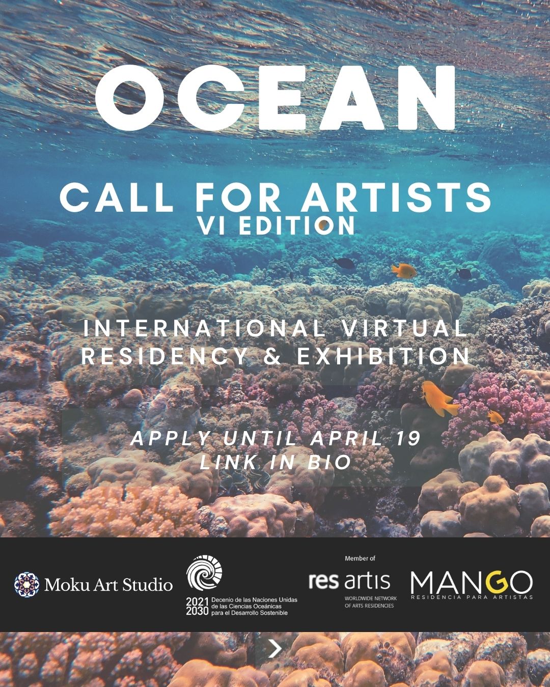 Underwater photograph of a coral reef.