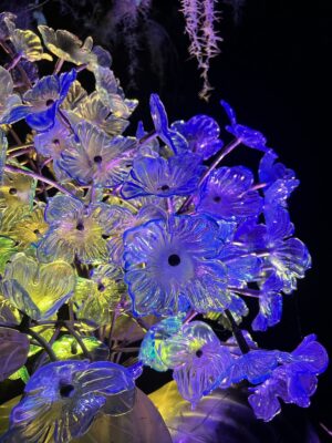 A fused glass hydrangea sculpture by Craig Mitchell Smith is lit with blue and yellow lights.