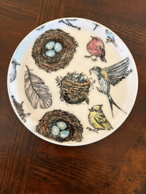 A ceramic dish with drawings of birds, nests, and feathers.
