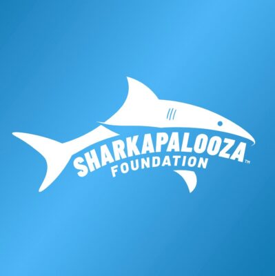 Logo for the Sharkapalooza Foundation, a white shark on a marine blue gradient background.