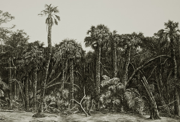 Spartanburg artist inspired to create S.C. Coastal Lithography Project